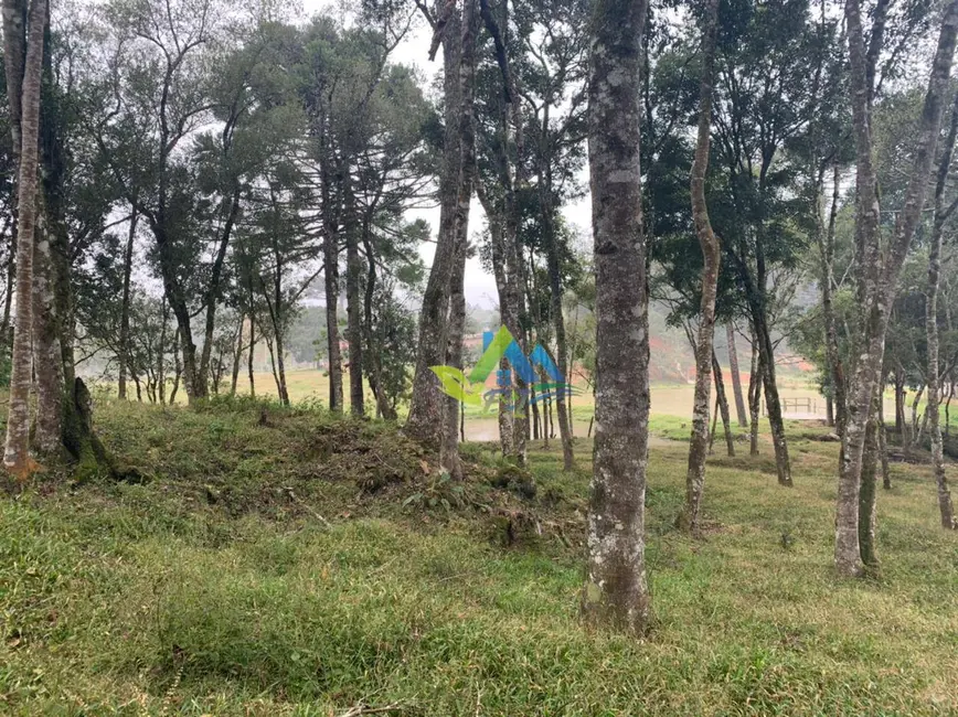 Foto 23 de Chácara à venda, 31464m2 em Mandirituba - PR