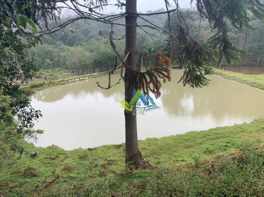 Foto 45 de Chácara à venda, 31464m2 em Mandirituba - PR