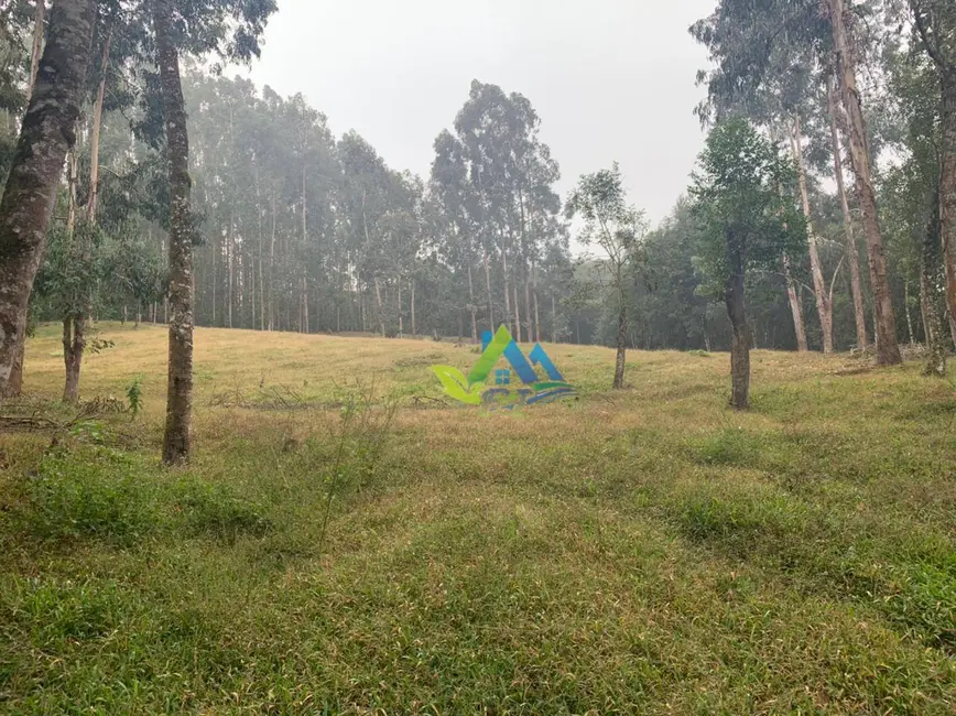 Foto 46 de Chácara à venda, 31464m2 em Mandirituba - PR