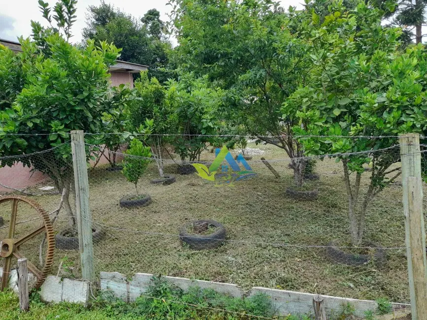 Foto 28 de Chácara à venda, 31464m2 em Mandirituba - PR