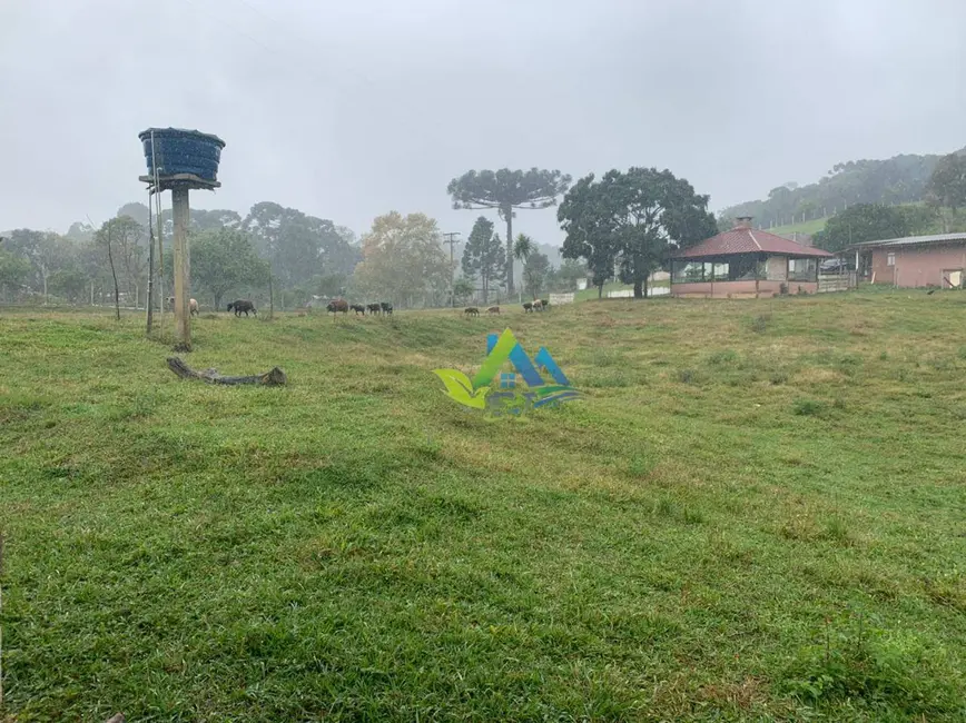 Foto 31 de Chácara à venda, 31464m2 em Mandirituba - PR