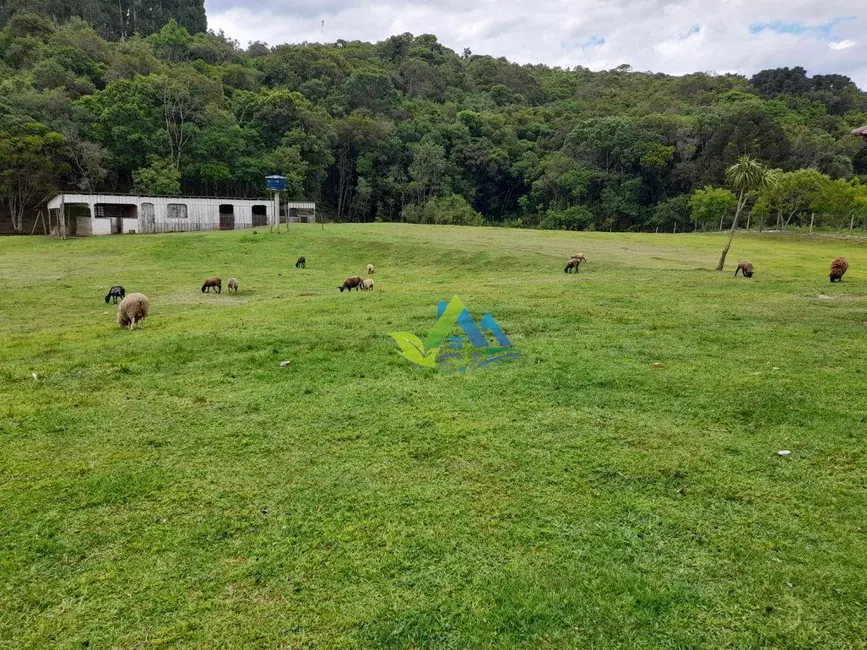 Foto 21 de Chácara à venda, 31464m2 em Mandirituba - PR