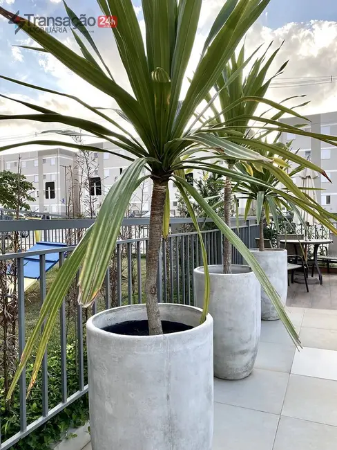 Foto 4 de Apartamento com 2 quartos à venda, 45m2 em São Miguel, Franca - SP