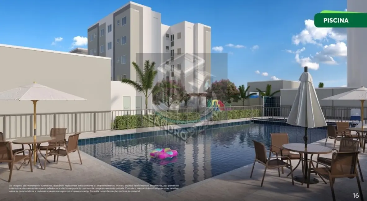 Apartamento com 2 quartos à venda, 41m2 em Jardim Maria Celina, Londrina - PR - imagem 7 Foto 7 de Apartamento com 2 quartos à venda, 41m2 em Jardim Maria Celina, Londrina - PR