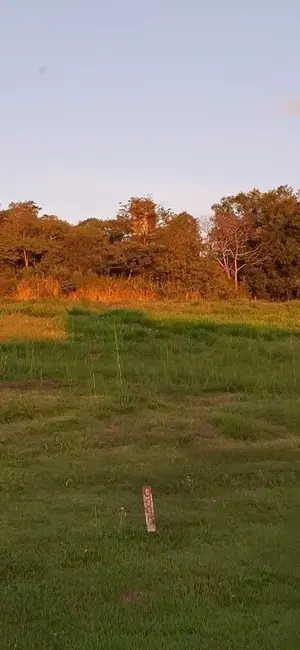 Terreno / Lote à venda, 2487m2 em Sertanopolis - PR - imagem 5 Foto 5 de Terreno / Lote à venda, 2487m2 em Sertanopolis - PR