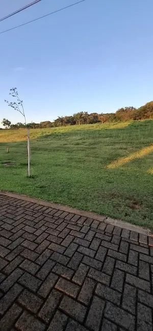 Terreno / Lote à venda, 2487m2 em Sertanopolis - PR - imagem 6 Foto 6 de Terreno / Lote à venda, 2487m2 em Sertanopolis - PR