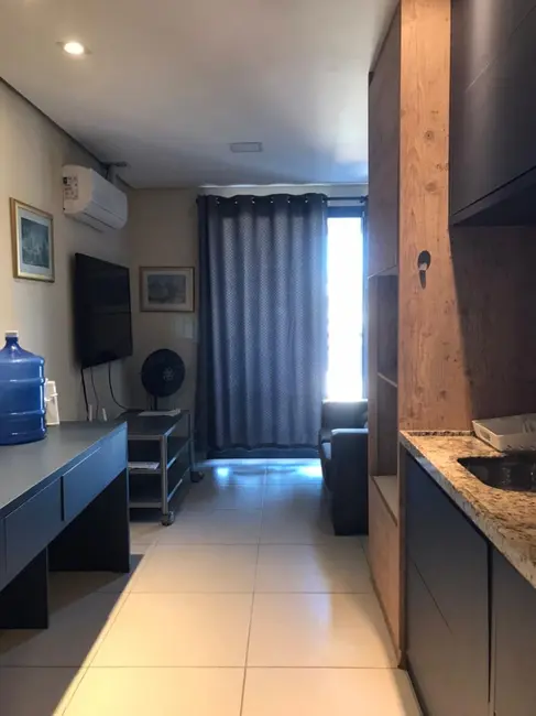 Foto 7 de Apartamento com 1 quarto para alugar, 37m2 em Chácara São José, Aruja - SP