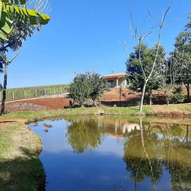Foto 1 de Chácara com 2 quartos à venda, 3000m2 em Assai - PR