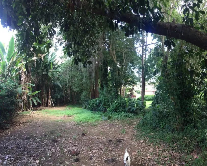 Terreno / Lote à venda, 4277m2 em Rio De Janeiro - RJ - imagem 6 Foto 6 de Terreno / Lote à venda, 4277m2 em Rio De Janeiro - RJ