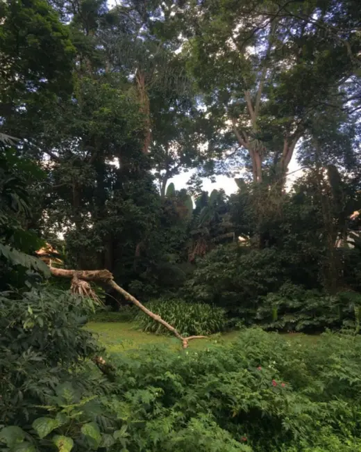 Terreno / Lote à venda, 4277m2 em Rio De Janeiro - RJ - imagem 8 Foto 8 de Terreno / Lote à venda, 4277m2 em Rio De Janeiro - RJ