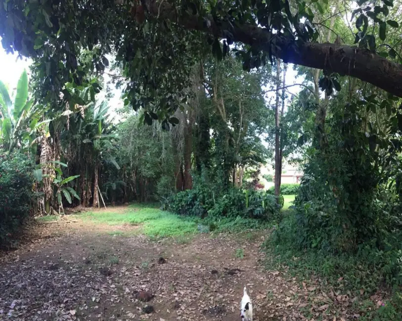 Terreno / Lote à venda em Corrêas, Petropolis - RJ - imagem 6 Foto 6 de Terreno / Lote à venda em Corrêas, Petropolis - RJ