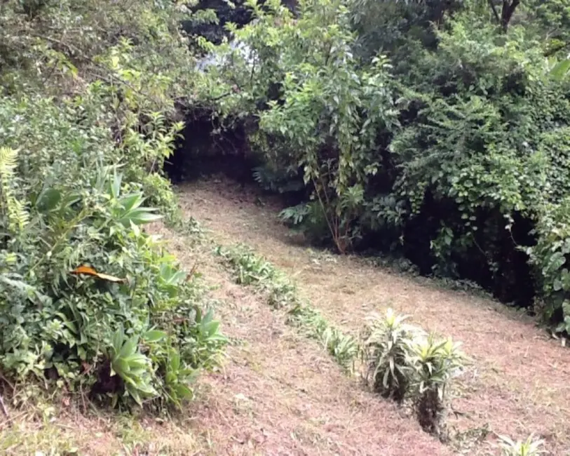 Casa com 6 quartos à venda, 400m2 em Petropolis - RJ - imagem 8 Foto 8 de Casa com 6 quartos à venda, 400m2 em Petropolis - RJ