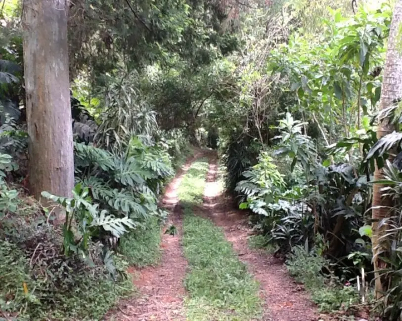 Casa com 6 quartos à venda, 400m2 em Petropolis - RJ - imagem 4 Foto 4 de Casa com 6 quartos à venda, 400m2 em Petropolis - RJ