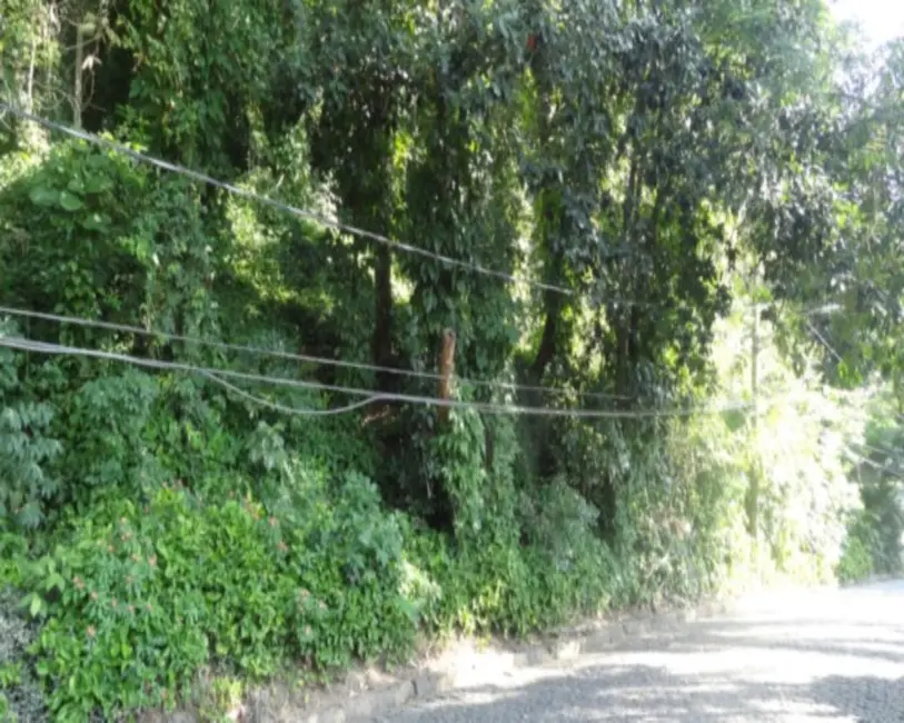 Terreno / Lote à venda, 5515m2 em Itanhangá, Rio De Janeiro - RJ - imagem 2 Foto 2 de Terreno / Lote à venda, 5515m2 em Itanhangá, Rio De Janeiro - RJ