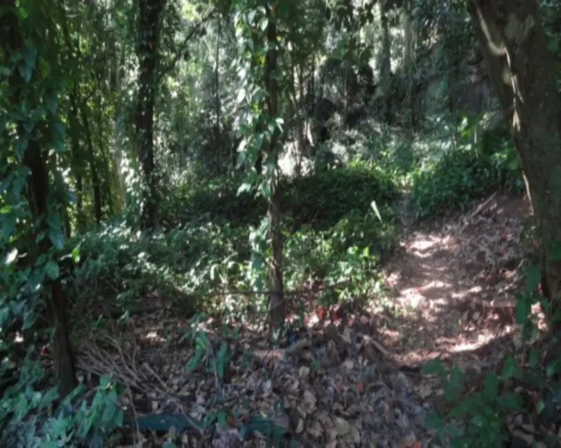 Foto 3 de Terreno / Lote à venda, 9615m2 em Itanhangá, Rio De Janeiro - RJ