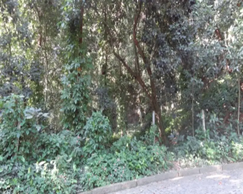 Foto 2 de Terreno / Lote à venda, 9615m2 em Itanhangá, Rio De Janeiro - RJ