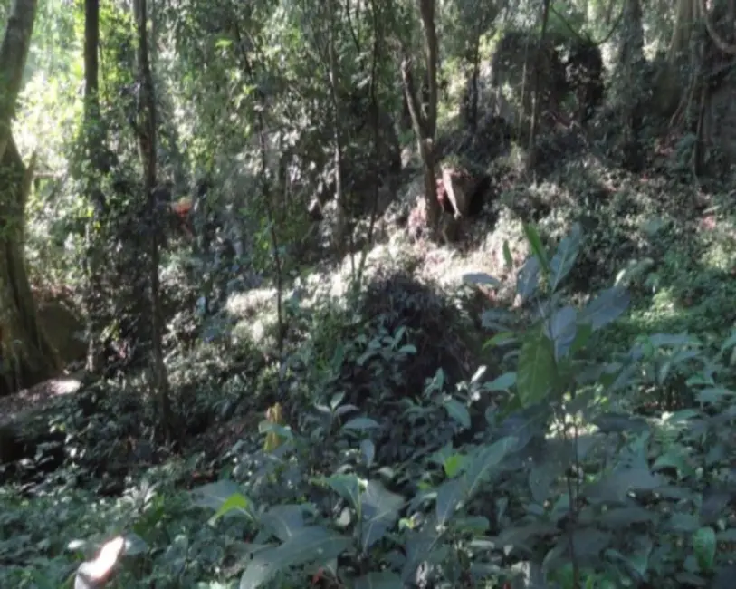 Terreno / Lote à venda em Itanhangá, Rio De Janeiro - RJ - imagem 5 Foto 5 de Terreno / Lote à venda em Itanhangá, Rio De Janeiro - RJ