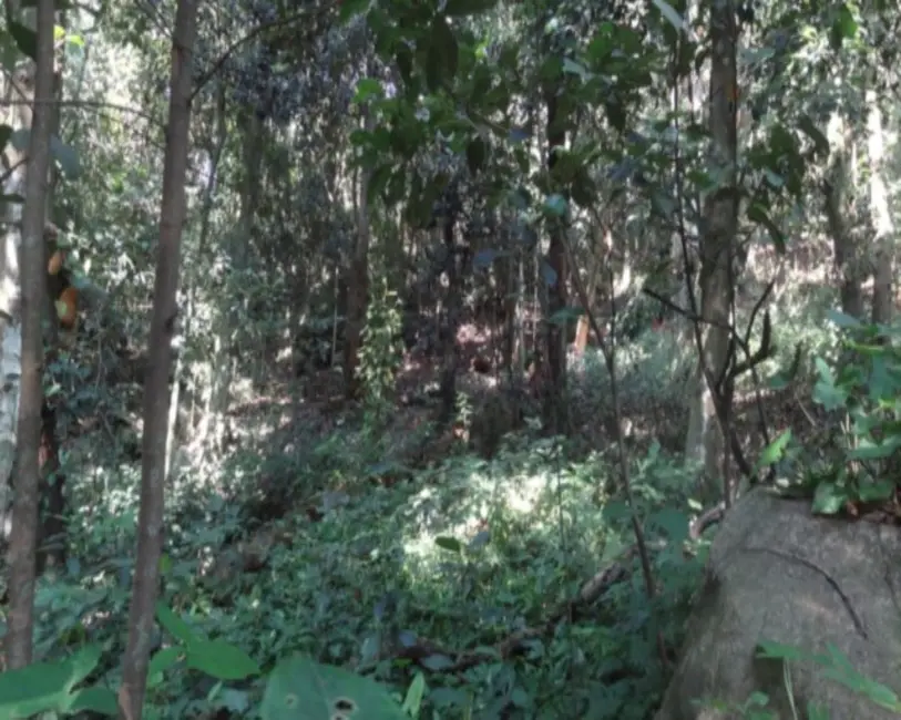 Foto 7 de Terreno / Lote à venda, 9615m2 em Itanhangá, Rio De Janeiro - RJ