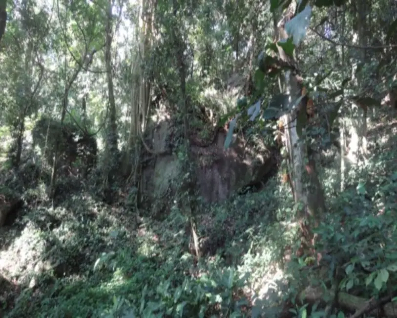 Foto 6 de Terreno / Lote à venda, 9615m2 em Itanhangá, Rio De Janeiro - RJ