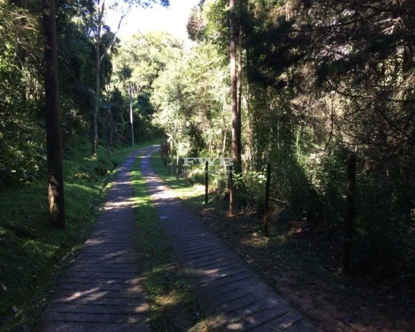 Terreno / Lote à venda, 2500m2 em Araras, Petropolis - RJ - imagem 9 Foto 9 de Terreno / Lote à venda, 2500m2 em Araras, Petropolis - RJ