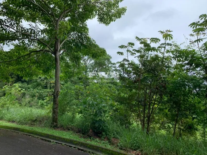 Terreno / Lote à venda em Portogalo, Angra Dos Reis - RJ - imagem 6 Foto 6 de Terreno / Lote à venda em Portogalo, Angra Dos Reis - RJ