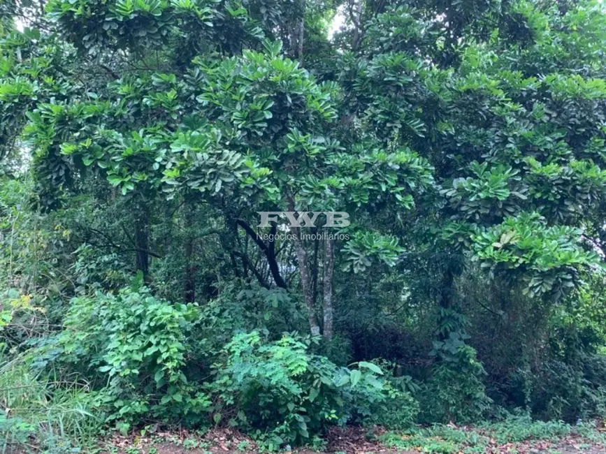 Terreno / Lote à venda em Portogalo, Angra Dos Reis - RJ - imagem 5 Foto 5 de Terreno / Lote à venda em Portogalo, Angra Dos Reis - RJ