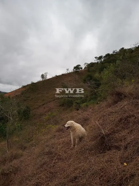 Foto 38 de Terreno / Lote à venda em Araras, Petropolis - RJ