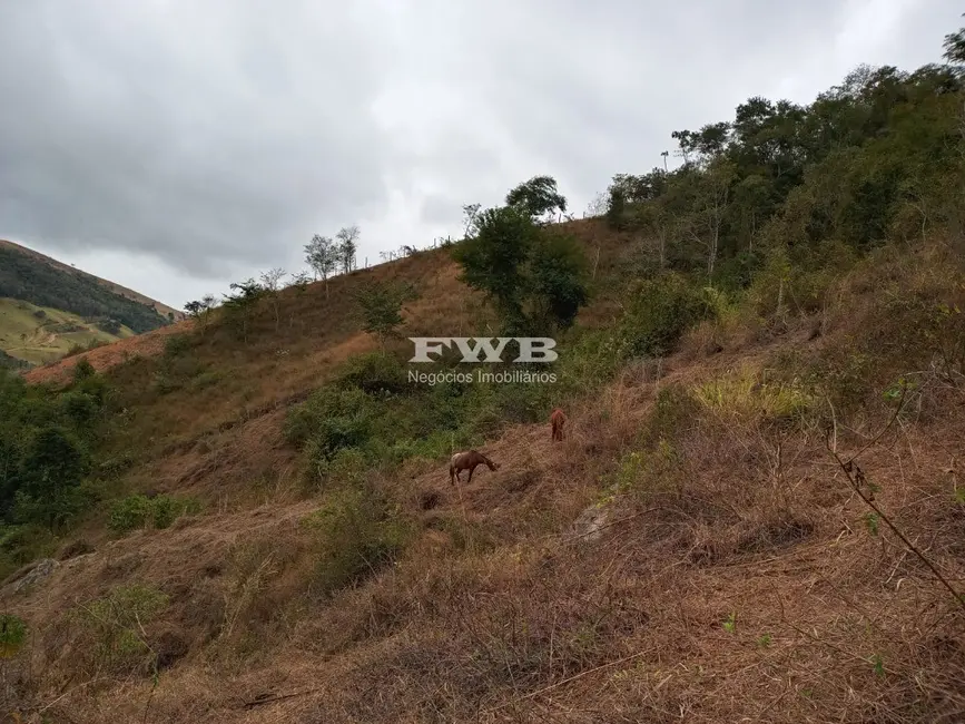Foto 47 de Terreno / Lote à venda em Araras, Petropolis - RJ