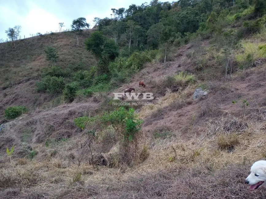 Foto 27 de Terreno / Lote à venda em Araras, Petropolis - RJ