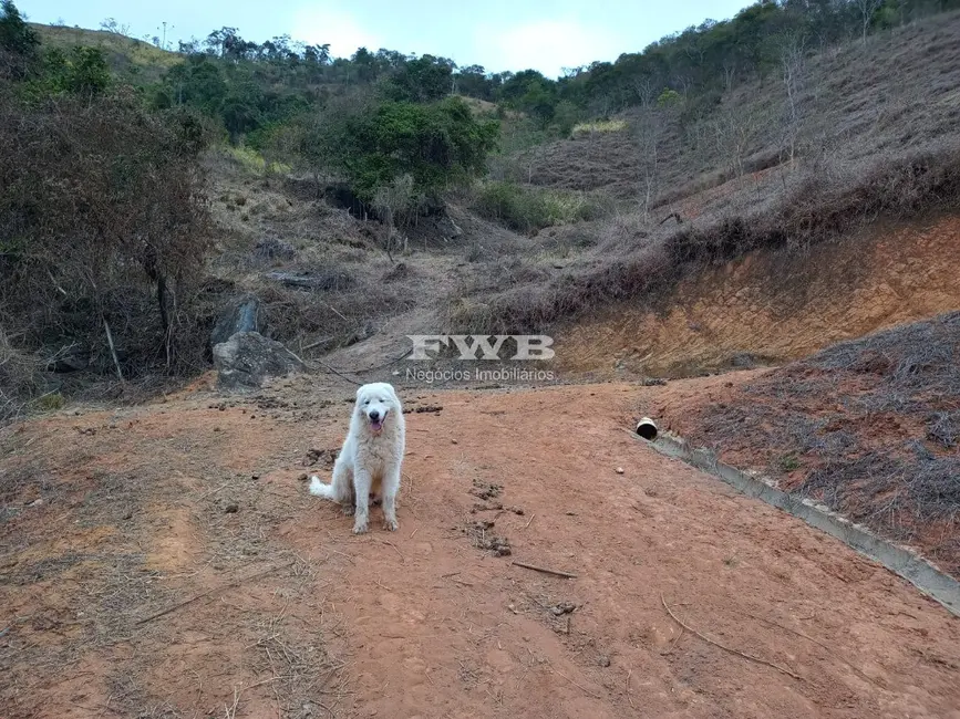 Foto 50 de Terreno / Lote à venda em Araras, Petropolis - RJ