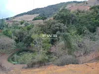 Imagem 7