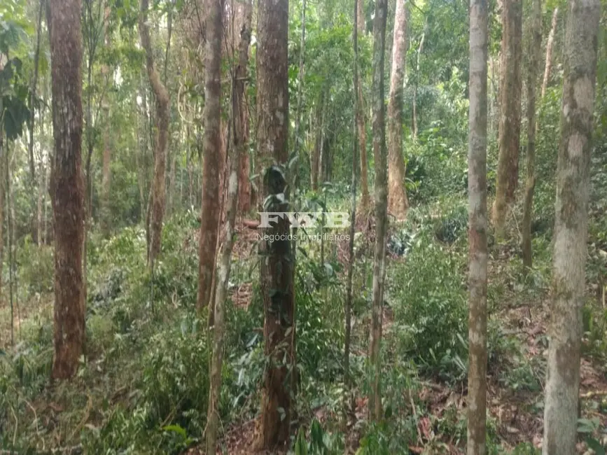 Terreno / Lote à venda em Araras, Petropolis - RJ - imagem 5 Foto 5 de Terreno / Lote à venda em Araras, Petropolis - RJ