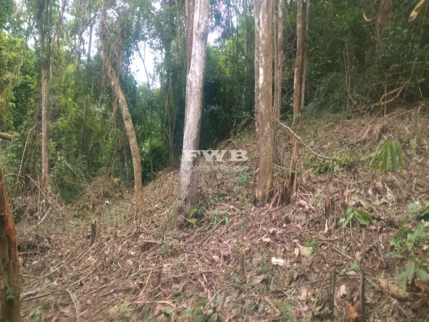 Terreno / Lote à venda em Araras, Petropolis - RJ - imagem 8 Foto 8 de Terreno / Lote à venda em Araras, Petropolis - RJ