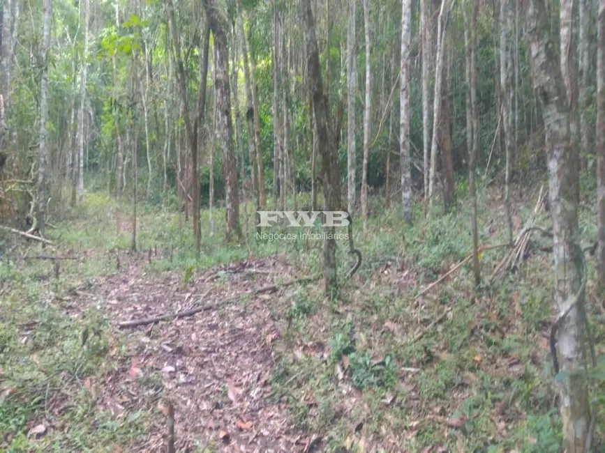 Terreno / Lote à venda em Araras, Petropolis - RJ - imagem 3 Foto 3 de Terreno / Lote à venda em Araras, Petropolis - RJ