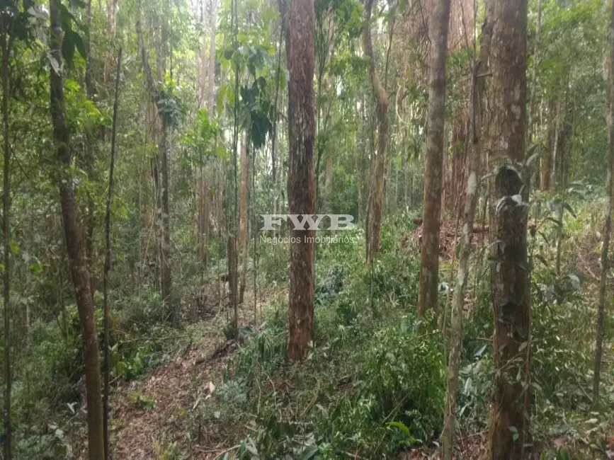 Terreno / Lote à venda em Araras, Petropolis - RJ - imagem 4 Foto 4 de Terreno / Lote à venda em Araras, Petropolis - RJ