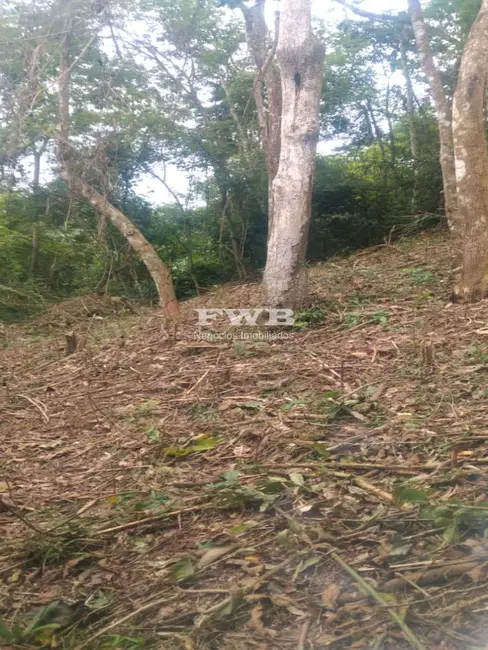 Terreno / Lote à venda em Araras, Petropolis - RJ - imagem 9 Foto 9 de Terreno / Lote à venda em Araras, Petropolis - RJ