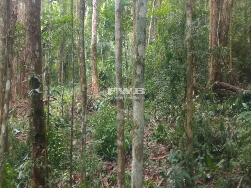 Terreno / Lote à venda em Araras, Petropolis - RJ - imagem 7 Foto 7 de Terreno / Lote à venda em Araras, Petropolis - RJ
