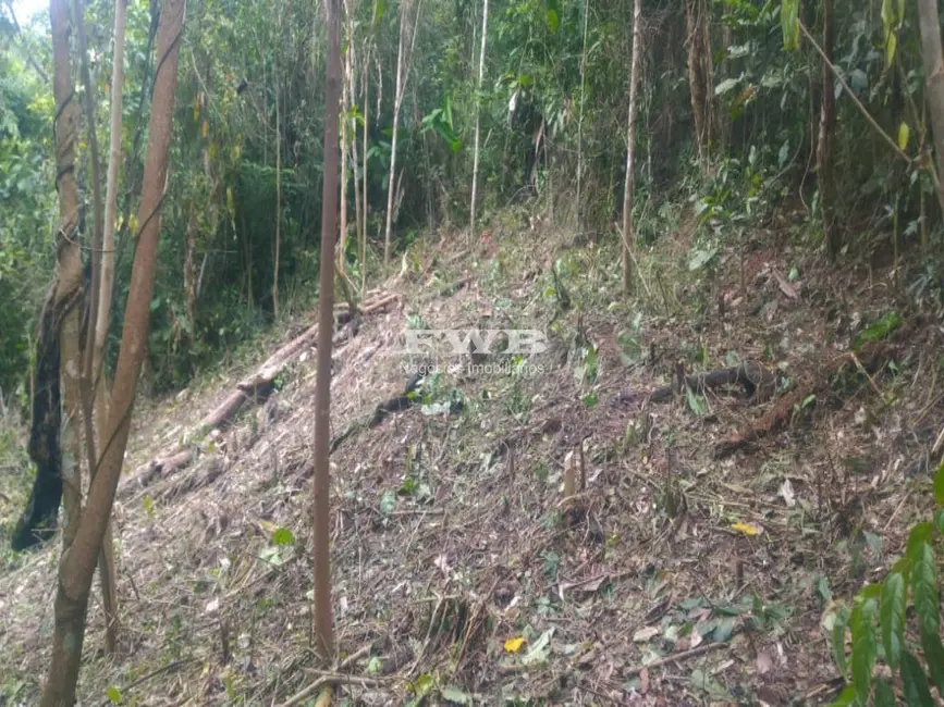 Terreno / Lote à venda em Araras, Petropolis - RJ - imagem 6 Foto 6 de Terreno / Lote à venda em Araras, Petropolis - RJ