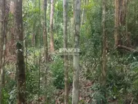 Imagem 7