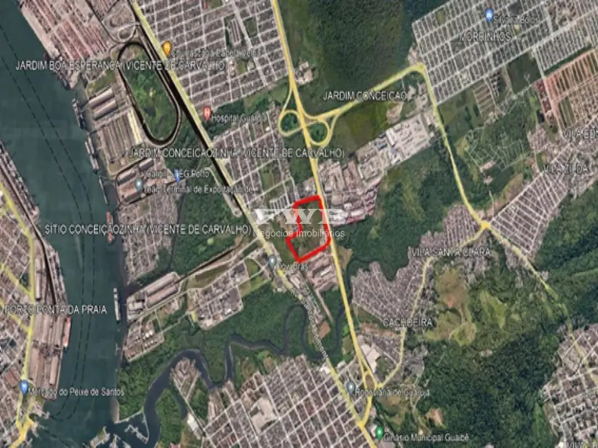 Terreno / Lote à venda em Cambuci, São Paulo - SP - imagem 3 Foto 3 de Terreno / Lote à venda em Cambuci, São Paulo - SP