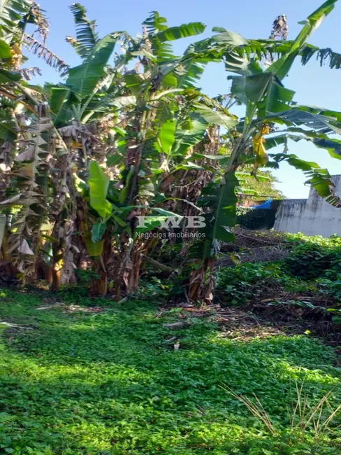 Foto 8 de Terreno / Lote à venda em Biscaia, Angra Dos Reis - RJ