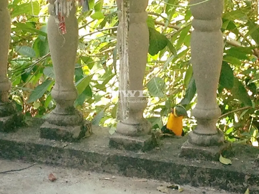 Casa com 4 quartos à venda, 1200m2 em Santa Teresa, Rio De Janeiro - RJ - imagem 6 Foto 6 de Casa com 4 quartos à venda, 1200m2 em Santa Teresa, Rio De Janeiro - RJ