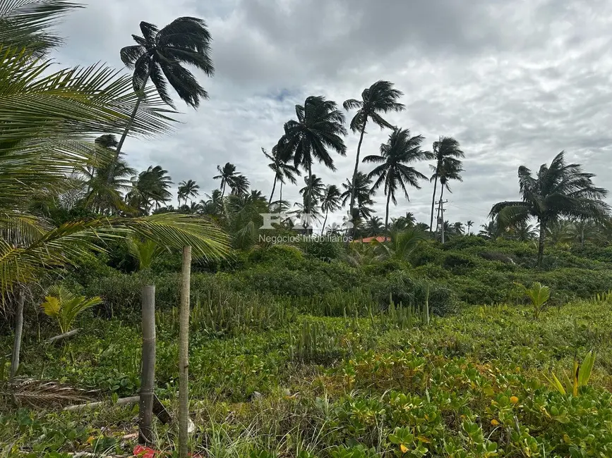 Foto 3 de Terreno / Lote à venda em Marau - BA