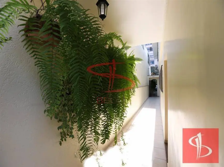 Sobrado com 3 quartos à venda, 215m2 em Vila Formosa, São Paulo - SP - imagem 7 Foto 7 de Sobrado com 3 quartos à venda, 215m2 em Vila Formosa, São Paulo - SP