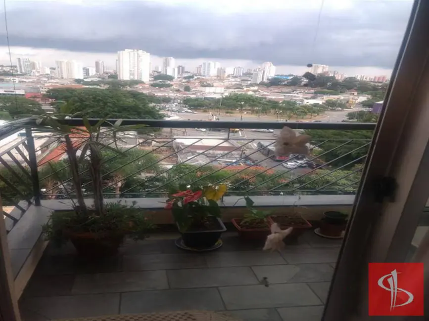Foto 5 de Apartamento com 2 quartos para alugar, 58m2 em Chácara Califórnia, São Paulo - SP