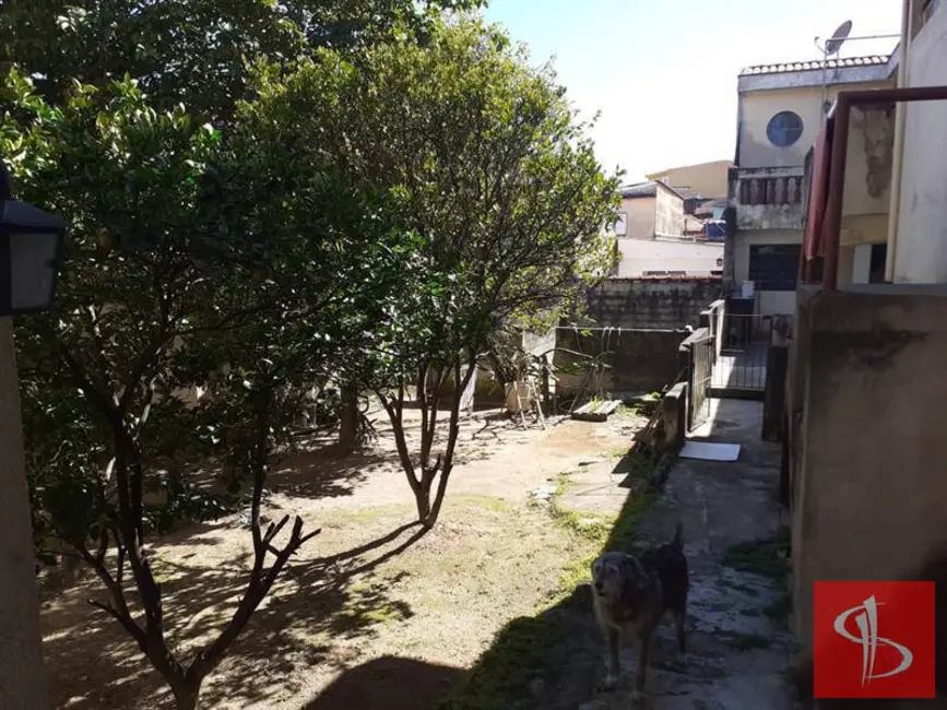 Foto 5 de Terreno / Lote à venda, 510m2 em Vila Matilde, São Paulo - SP