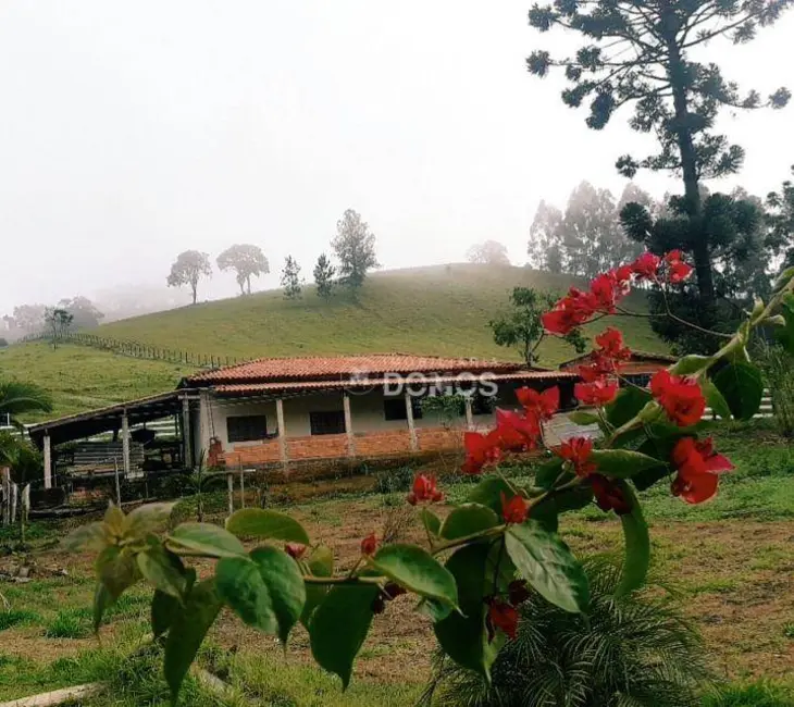 Foto 4 de Sítio / Rancho com 3 quartos à venda, 56000m2 em Lorena - SP
