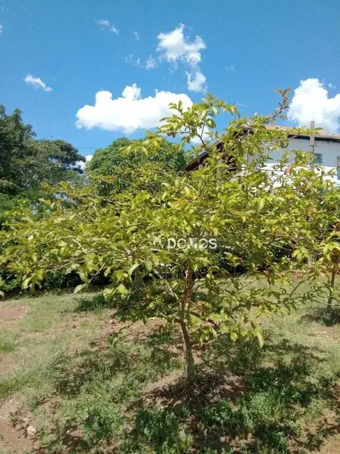 Foto 9 de Chácara com 3 quartos à venda, 2000m2 em Bom Jardim I, Guaratingueta - SP
