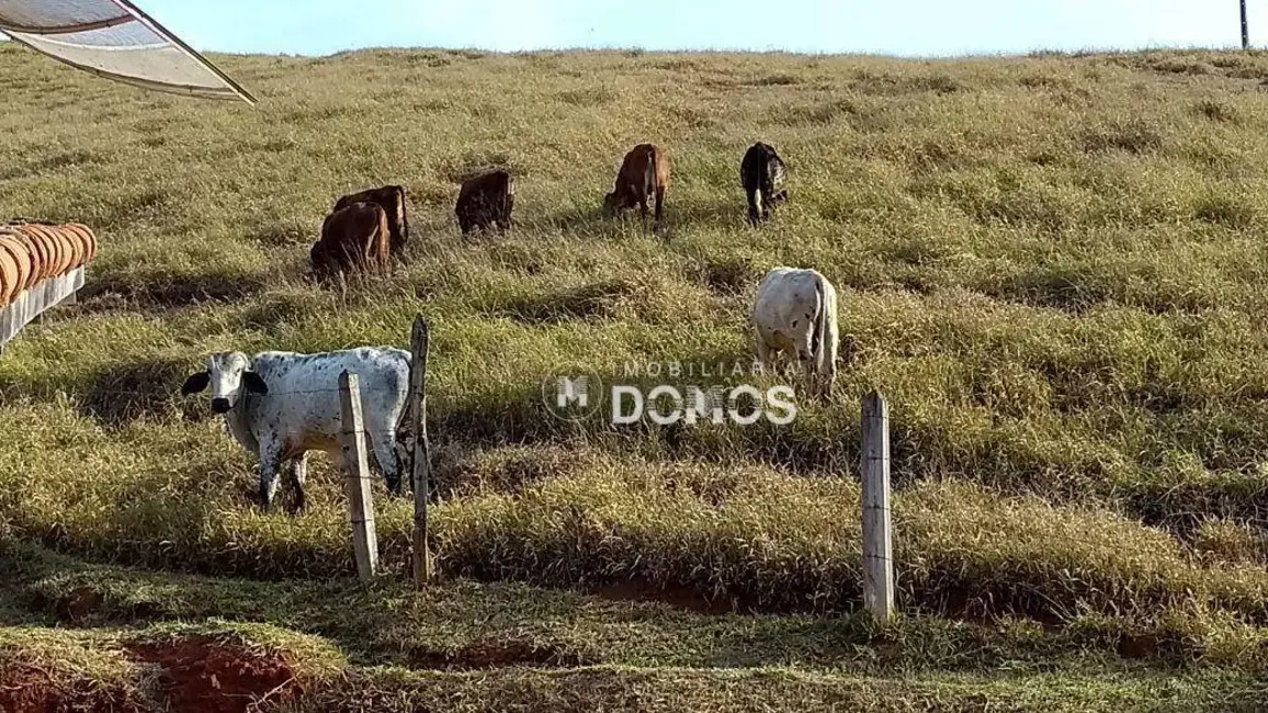 Foto 9 de Sítio / Rancho com 2 quartos à venda, 60500m2 em Rocinha, Guaratingueta - SP