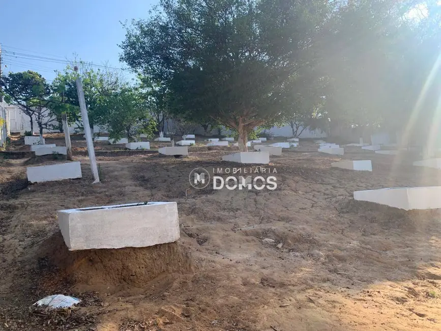 Foto 2 de Chácara com 3 quartos à venda, 5000m2 em Guaratingueta - SP